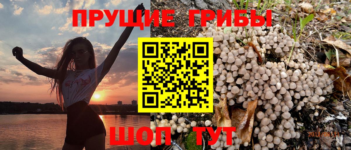 Ростов Великий  Псилоцибиновые грибы MAGIC MUSHROOMS  Псилоцибиновые грибы мухоморы  где купить   Вход с VPN 