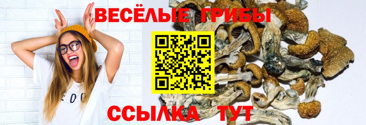 Псилоцибиновые грибы Magic Shrooms Ростов Великий